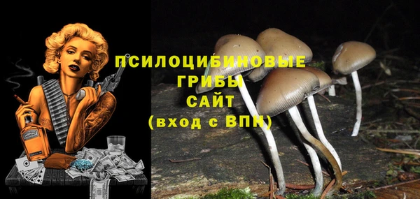 ALPHA-PVP Осинники